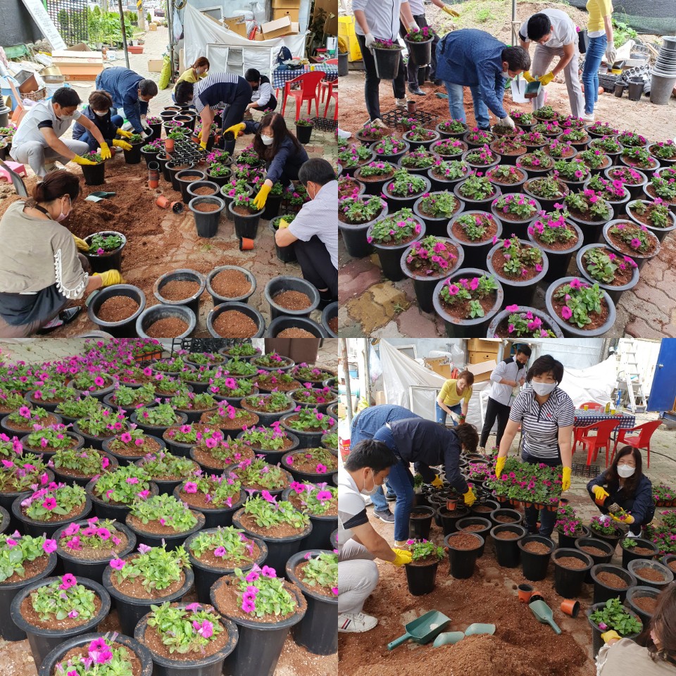 마을공동체 주민제안 공모사업<가로등 꽃길조성>(1) 사진